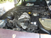 Blumen 2014 und Porsche July 018