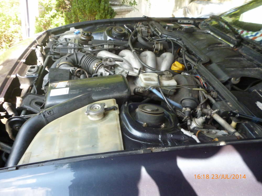 Blumen 2014 und Porsche July 019